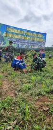 Jaga Keseimbangan Ekosistem Lingkungan Pertamina EP Pendopo Field Dukung Program Tanam Pohon Oleh TNI