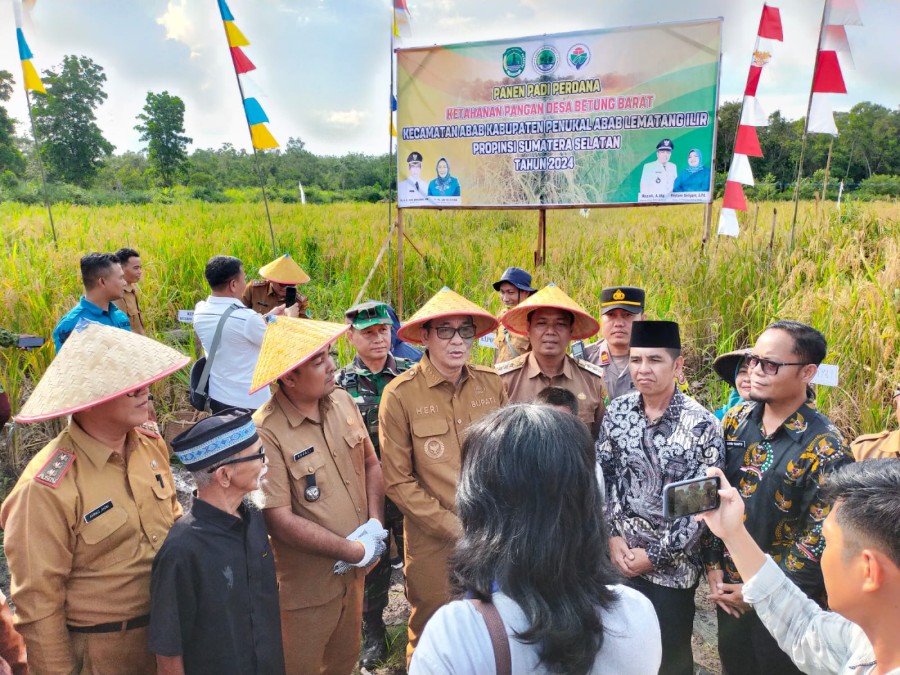 Kapolsek Penukal Abab Ikut Panen Raya di Desa Paye Besok
