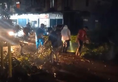 Respons Cepat BPBD dan PLN Muba Atasi Pohon Tumbang dan Gangguan Listrik di Talang Jawe